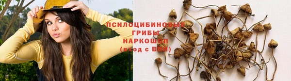 ешки Кукмор